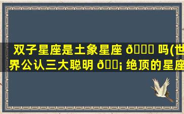双子星座是土象星座 🐅 吗(世界公认三大聪明 🐡 绝顶的星座)
